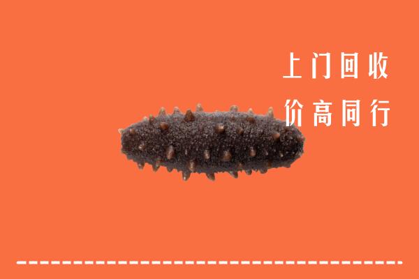 济南天桥区回收海参