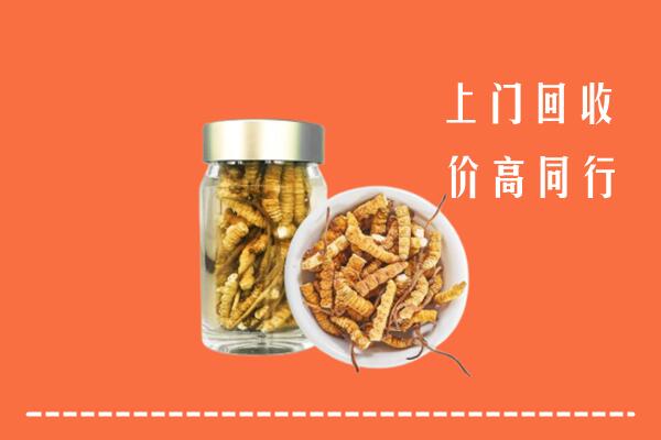 收购行情：济南天桥区回收冬虫夏草