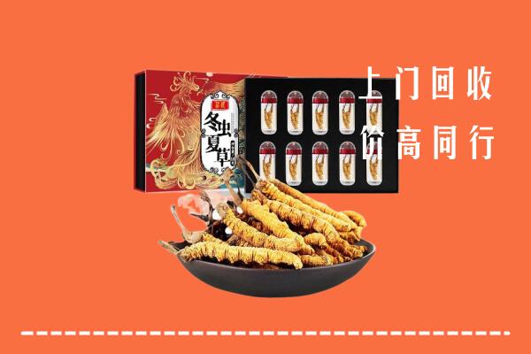 济南天桥区回收虫草